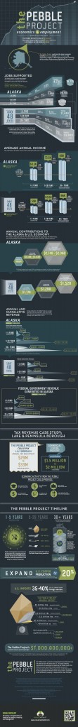 Pebble Mine Infographic