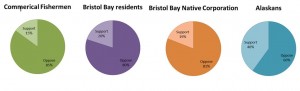 pie chart